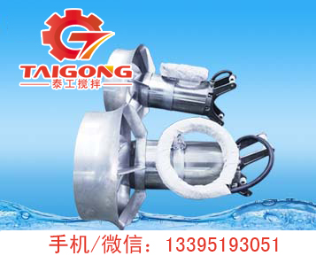 潛水?dāng)嚢铏C(jī)器.jpg