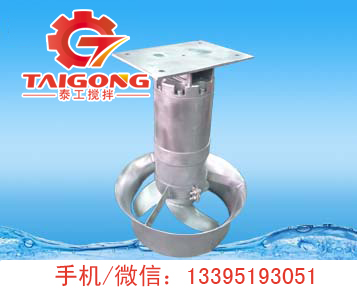 潛水?dāng)嚢铏C(jī)底座式安裝.jpg
